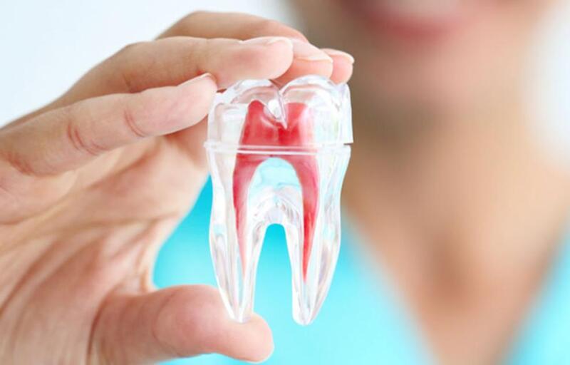 Tủy răng là lớp trong cùng của răng